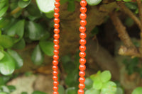 Polished Carnelian Agate Beaded Necklace - Sold per Item - From Brazil - Toprock Gemstones and Minerals