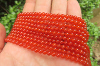 Polished Carnelian Agate Beaded Necklace - Sold per Item - From Brazil - Toprock Gemstones and Minerals