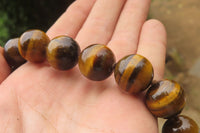 Polished Golden Tigers Eye Bead Necklaces - Sold Per Item - From South Africa - Toprock Gemstones and Minerals