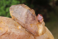 Natural Chiredzi Amethyst Conglomerate Specimens x 6 From Chiredzi, Zimbabwe - Toprock Gemstones and Minerals