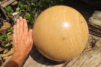 Polished Banded Aragonite Sphere x 1 From Namibia - Toprock Gemstones and Minerals
