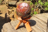 Polished Podocarpus Petrified Wood Sphere x 1 From Mahajanga, Madagascar - Toprock Gemstones and Minerals