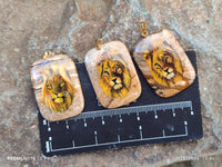 Polished Picture Stone Pendant with Hand Painted Lion - Sold Per Item - From Namibia - Toprock Gemstones and Minerals