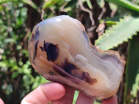 Polished On One Side Dendritic Agate x 6 From Madagascar - Toprock Gemstones and Minerals