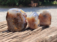 Polished On One Side Dendritic Agate x 6 From Madagascar - Toprock Gemstones and Minerals