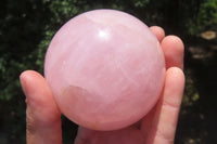 Polished Rose Quartz Spheres x 3 From Ambatondrazaka, Madagascar - Toprock Gemstones and Minerals