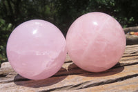 Polished Rose Quartz Spheres x 3 From Ambatondrazaka, Madagascar - Toprock Gemstones and Minerals