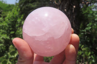 Polished Rose Quartz Spheres x 3 From Ambatondrazaka, Madagascar - Toprock Gemstones and Minerals