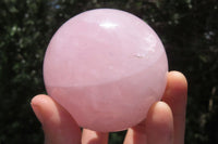 Polished Rose Quartz Spheres x 3 From Ambatondrazaka, Madagascar - Toprock Gemstones and Minerals