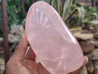 Polished Rose Quartz Standing Free Forms x 3 From Madagascar - Toprock Gemstones and Minerals