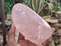 Polished Rose Quartz Standing Free Forms x 3 From Madagascar - Toprock Gemstones and Minerals