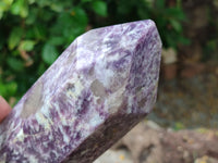 Polished Lepidolite with Pink Rubellite Point x 1 From Ambatondrazaka, Madagascar - Toprock Gemstones and Minerals