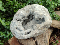 Natural Celestite Geode Specimen x 1 From Sakoany, Madagascar - Toprock Gemstones and Minerals