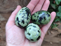 Polished Leopard Stone Gemstone Eggs x 12 From Zimbabwe - Toprock Gemstones and Minerals