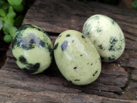 Polished Leopard Stone Gemstone Eggs x 12 From Zimbabwe - Toprock Gemstones and Minerals
