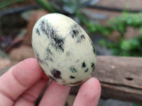 Polished Leopard Stone Gemstone Eggs x 12 From Zimbabwe - Toprock Gemstones and Minerals