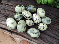 Polished Leopard Stone Gemstone Eggs x 12 From Zimbabwe - Toprock Gemstones and Minerals