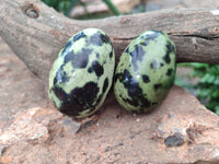 Polished Leopard Stone Gemstone Eggs x 12 From Zimbabwe - Toprock Gemstones and Minerals