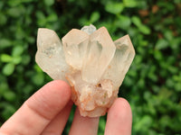 Natural Quartz Clusters x 12 From Mpika, Zambia - Toprock Gemstones and Minerals