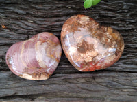 Polished Podocarpus Petrified Wood Gemstone Hearts x 2 From Madagascar - Toprock Gemstones and Minerals