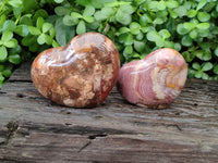 Polished Podocarpus Petrified Wood Gemstone Hearts x 2 From Madagascar - Toprock Gemstones and Minerals