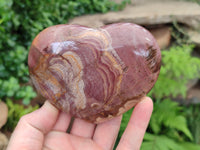 Polished Podocarpus Petrified Wood Gemstone Hearts x 2 From Madagascar - Toprock Gemstones and Minerals