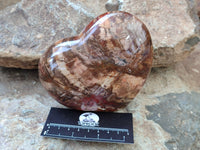 Polished Podocarpus Petrified Wood Gemstone Hearts x 2 From Madagascar - Toprock Gemstones and Minerals
