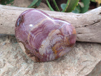 Polished Podocarpus Petrified Wood Gemstone Hearts x 2 From Madagascar - Toprock Gemstones and Minerals