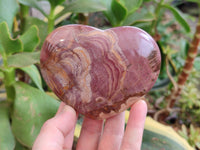 Polished Podocarpus Petrified Wood Gemstone Hearts x 2 From Madagascar - Toprock Gemstones and Minerals