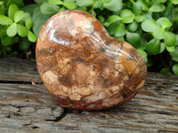 Polished Podocarpus Petrified Wood Gemstone Hearts x 2 From Madagascar - Toprock Gemstones and Minerals