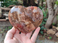 Polished Podocarpus Petrified Wood Gemstone Hearts x 2 From Madagascar - Toprock Gemstones and Minerals