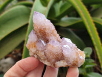 Natural Amethyst Spirit Quartz Clusters x 6 From Boekenhouthoek, South Africa - Toprock Gemstones and Minerals