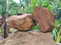 Natural Nguni Jasper Cobbed Specimens x 12 From Prieska, South Africa - Toprock Gemstones and Minerals