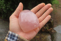 Polished Rose Quartz Standing Free Forms x 6 From Madagascar - Toprock Gemstones and Minerals
