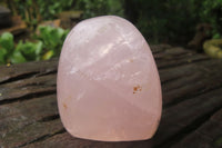 Polished Rose Quartz Standing Free Forms x 6 From Madagascar - Toprock Gemstones and Minerals