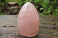 Polished Rose Quartz Standing Free Forms x 6 From Madagascar - Toprock Gemstones and Minerals