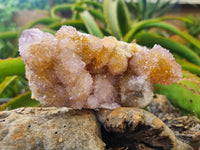 Natural Ametrine Spirit Quartz Clusters x 6 From Boekenhouthoek, South Africa - Toprock Gemstones and Minerals