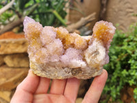 Natural Ametrine Spirit Quartz Clusters x 6 From Boekenhouthoek, South Africa - Toprock Gemstones and Minerals