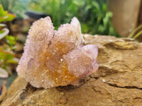 Natural Ametrine Spirit Quartz Clusters x 6 From Boekenhouthoek, South Africa - Toprock Gemstones and Minerals