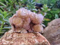 Natural Ametrine Spirit Quartz Clusters x 6 From Boekenhouthoek, South Africa - Toprock Gemstones and Minerals