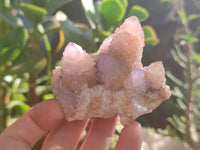 Natural Ametrine Spirit Quartz Clusters x 6 From Boekenhouthoek, South Africa - Toprock Gemstones and Minerals