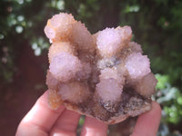 Natural Ametrine Spirit Quartz Clusters x 6 From Boekenhouthoek, South Africa - Toprock Gemstones and Minerals