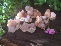 Natural Ametrine Spirit Quartz Clusters x 6 From Boekenhouthoek, South Africa - Toprock Gemstones and Minerals