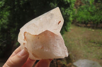 Natural Quartz Crystals x 6 From Mpika, Zambia - Toprock Gemstones and Minerals