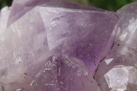Natural Jacaranda Amethyst Quartz Clusters x 2 from Mumbwa, Zambia - Toprock Gemstones and Minerals