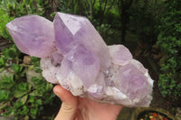 Natural Jacaranda Amethyst Quartz Clusters x 2 from Mumbwa, Zambia - Toprock Gemstones and Minerals