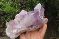 Natural Jacaranda Amethyst Quartz Clusters x 2 from Mumbwa, Zambia - Toprock Gemstones and Minerals