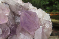 Natural Jacaranda Amethyst Quartz Clusters x 2 from Mumbwa, Zambia - Toprock Gemstones and Minerals