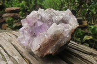 Natural Jacaranda Amethyst Quartz Clusters x 2 from Mumbwa, Zambia - Toprock Gemstones and Minerals