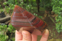 Polished Tiger Iron Jasper Points x 4 From South Africa - Toprock Gemstones and Minerals